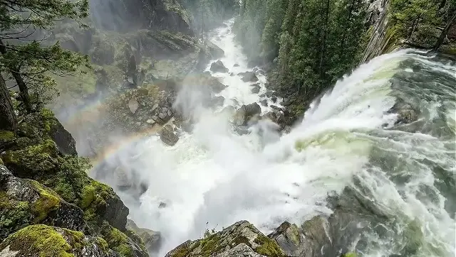 FPV Dive