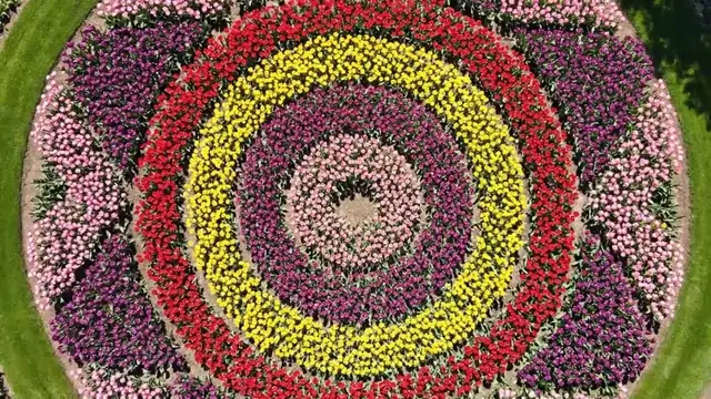 Top-Down View